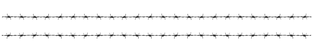 Barbed Wire Security Barrier