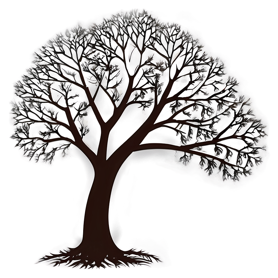 Bare Tree Drawing Png 94