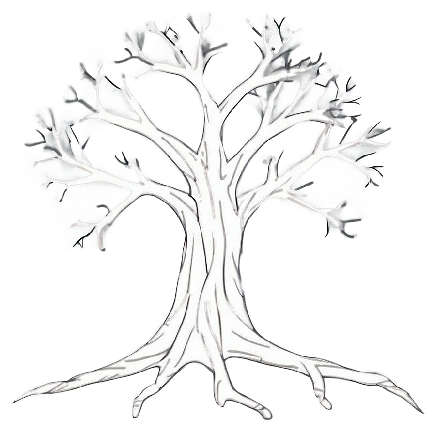 Bare Tree Outline Png Eun19