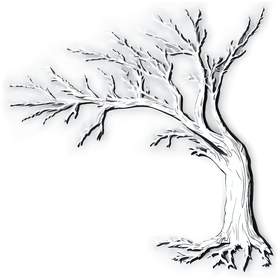 Bare Tree Shadow Png 50