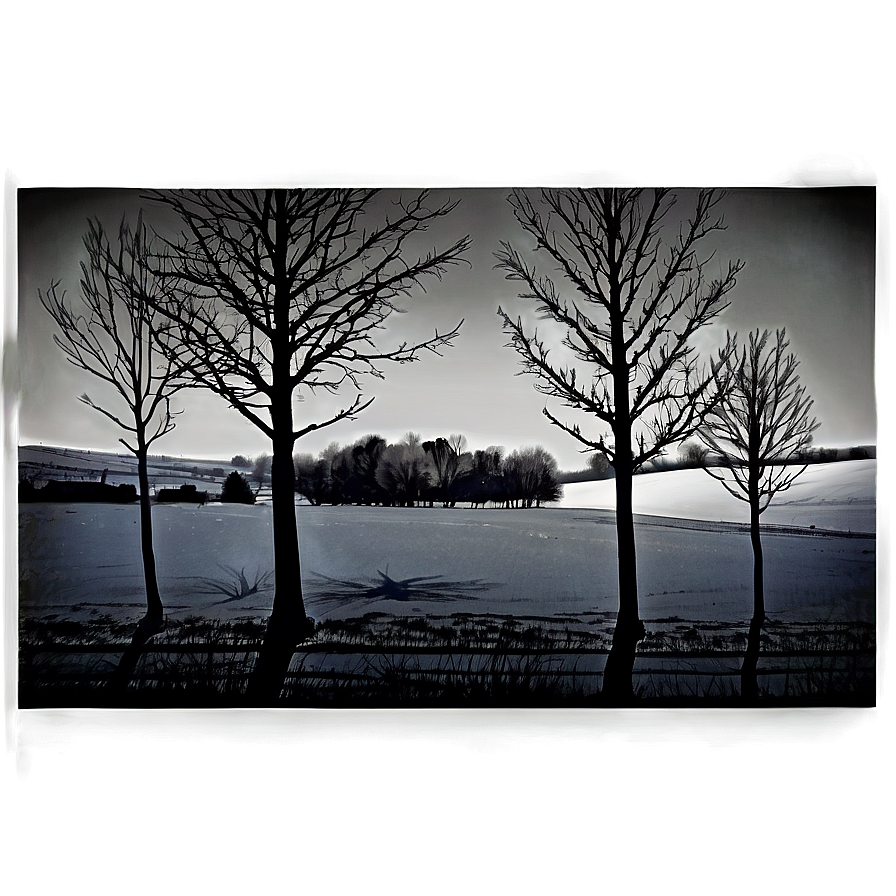 Bare Winter Trees In Field Png 15