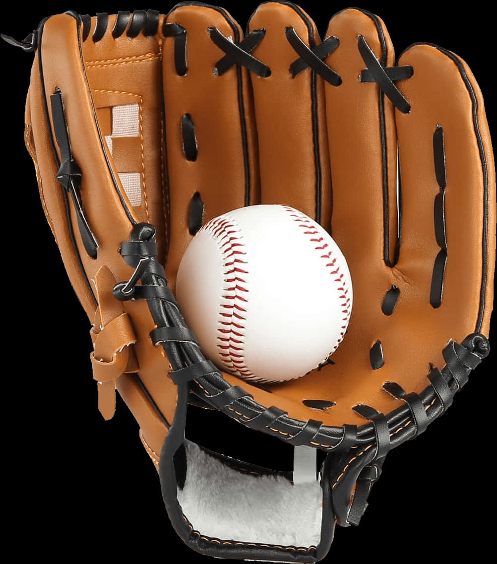 Baseball Gloveand Ball