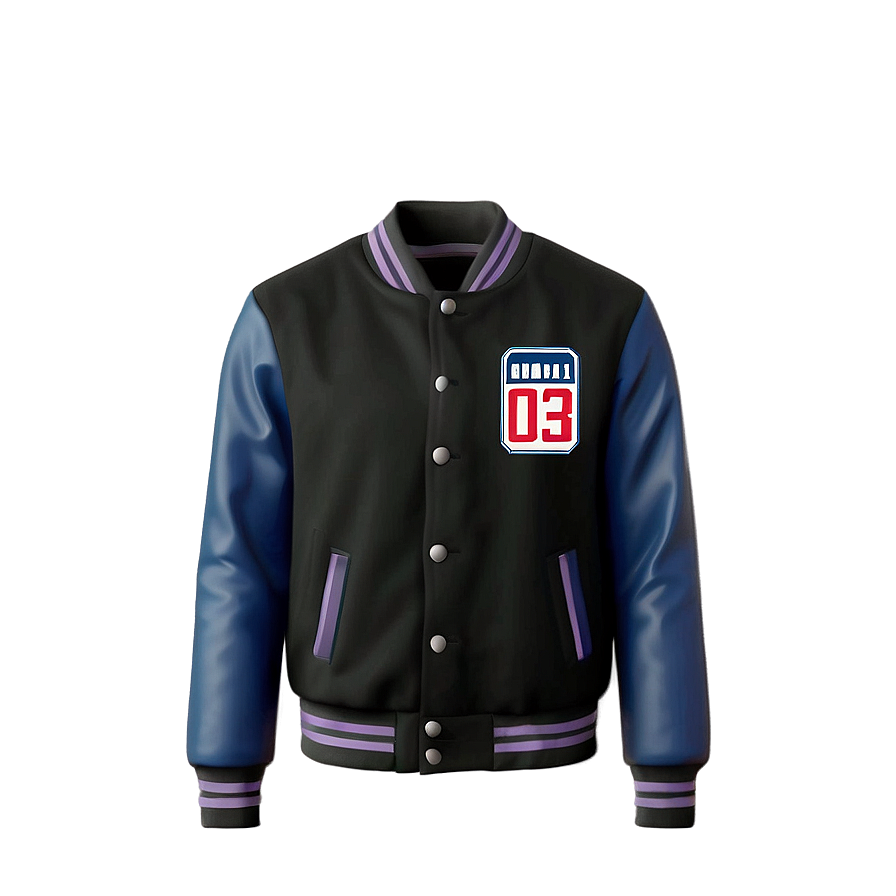 Baseball Jacket Png Pef