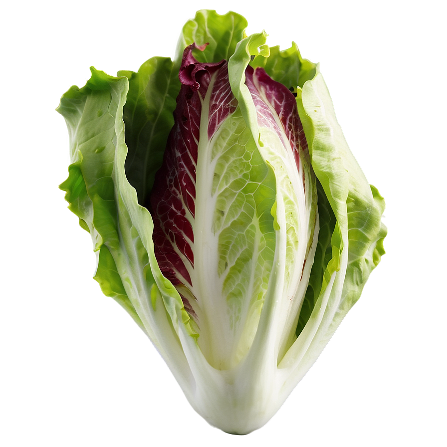 Batavia Lettuce Png Jgh