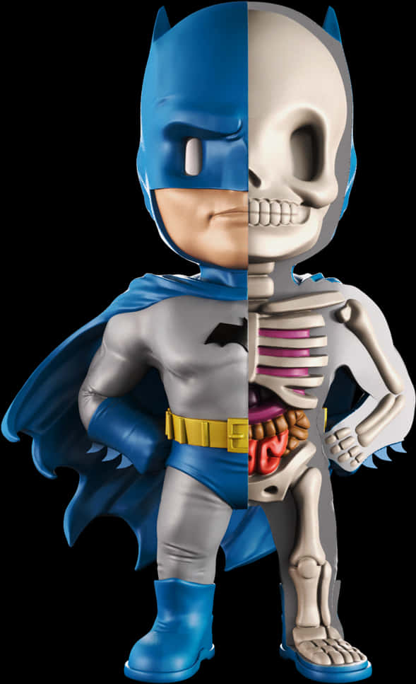 Batman_ Anatomy_ Split_ View