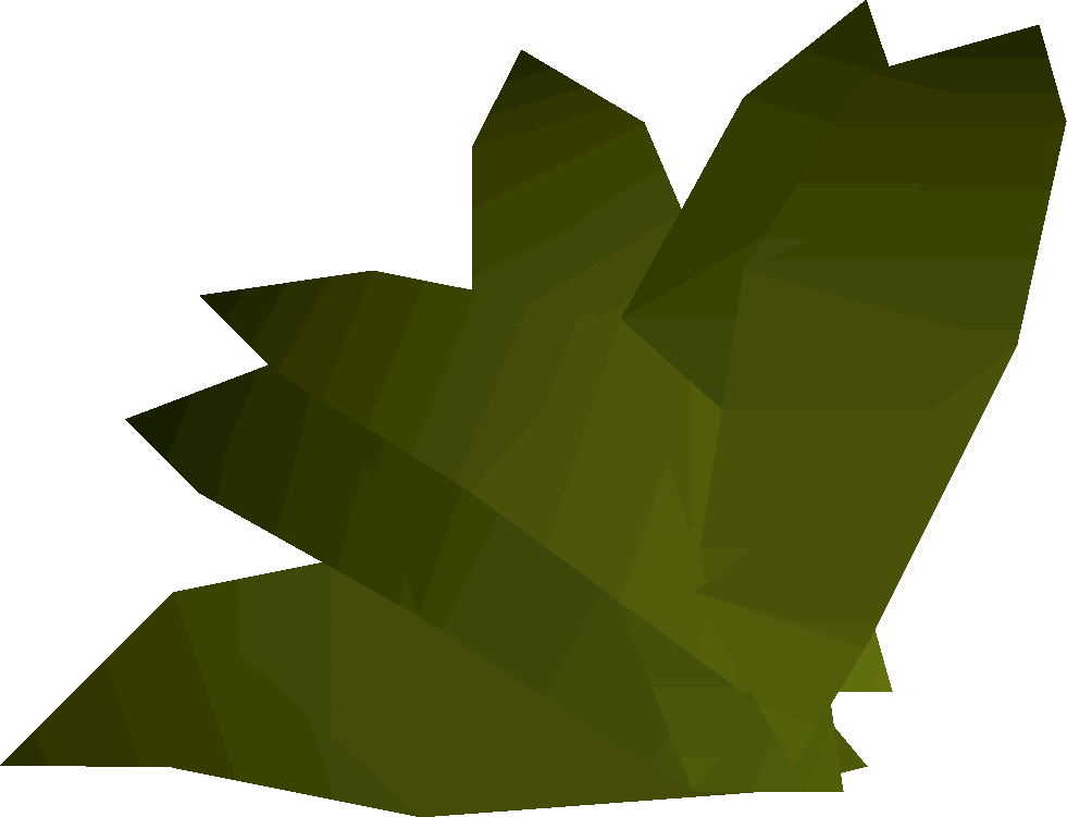 Bay Leaves Vector Illustration