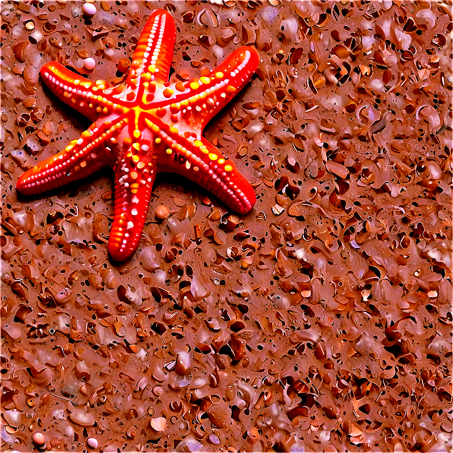 Beach Sand With Starfish Png Irw