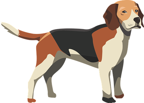 Beagle Dog Illustration