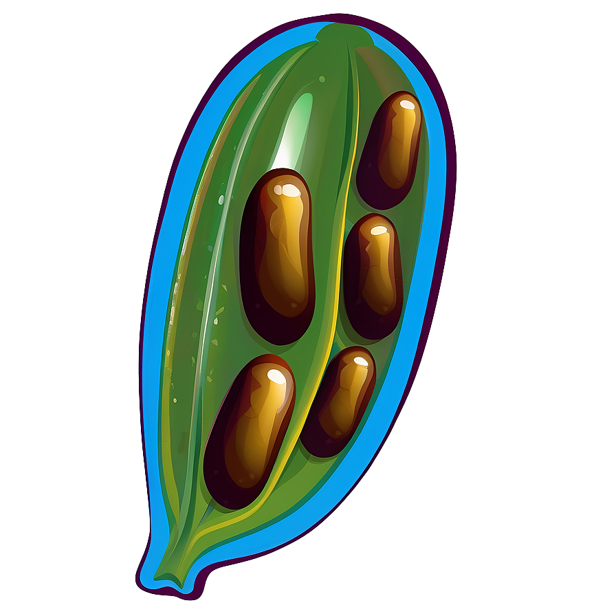 Bean Pod Clipart Png 05242024