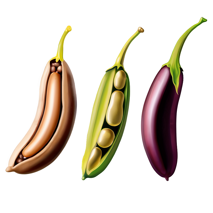 Bean Pod Clipart Png Ojf