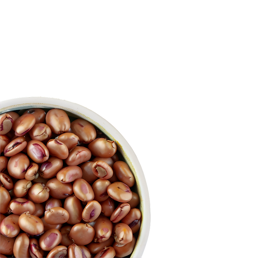 Beans Can Art Png 06212024