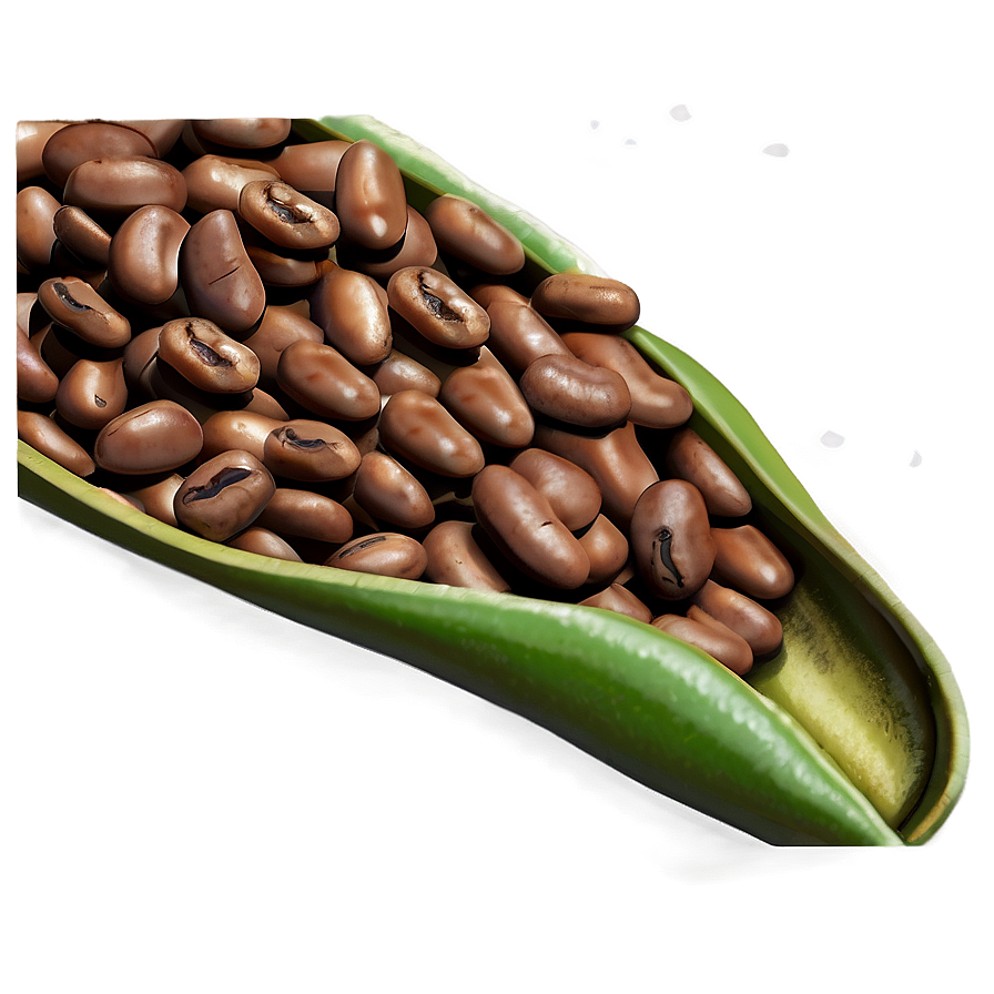 Beans Can Drawing Png Yje89