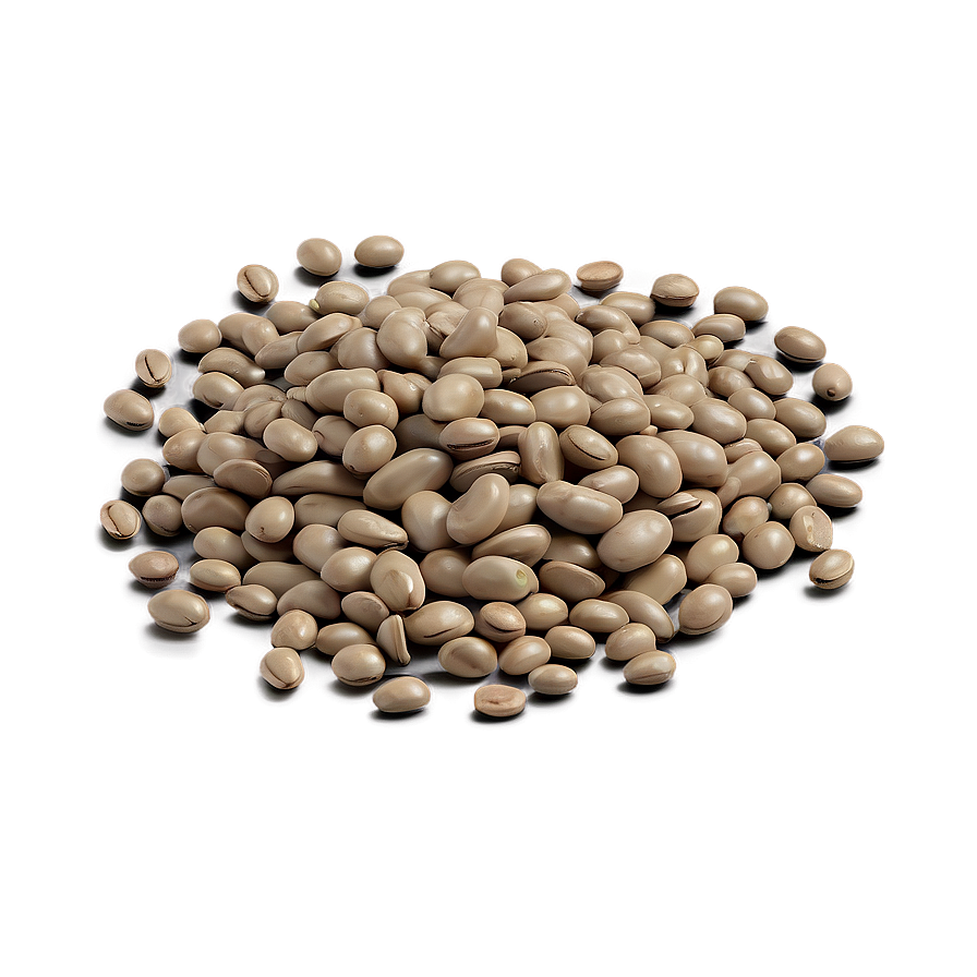 Beans Can Illustration Png 31