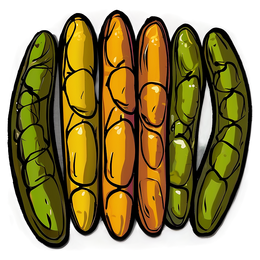 Beans Can Illustration Png Eum97