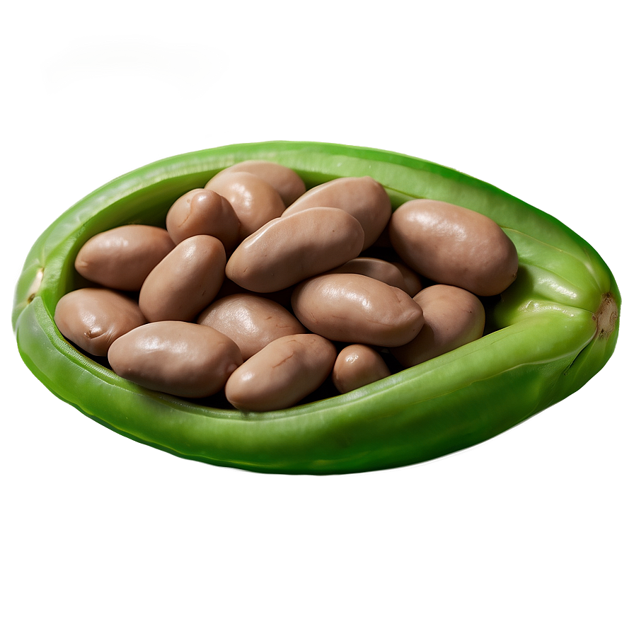 Beans Can Side View Png 06212024