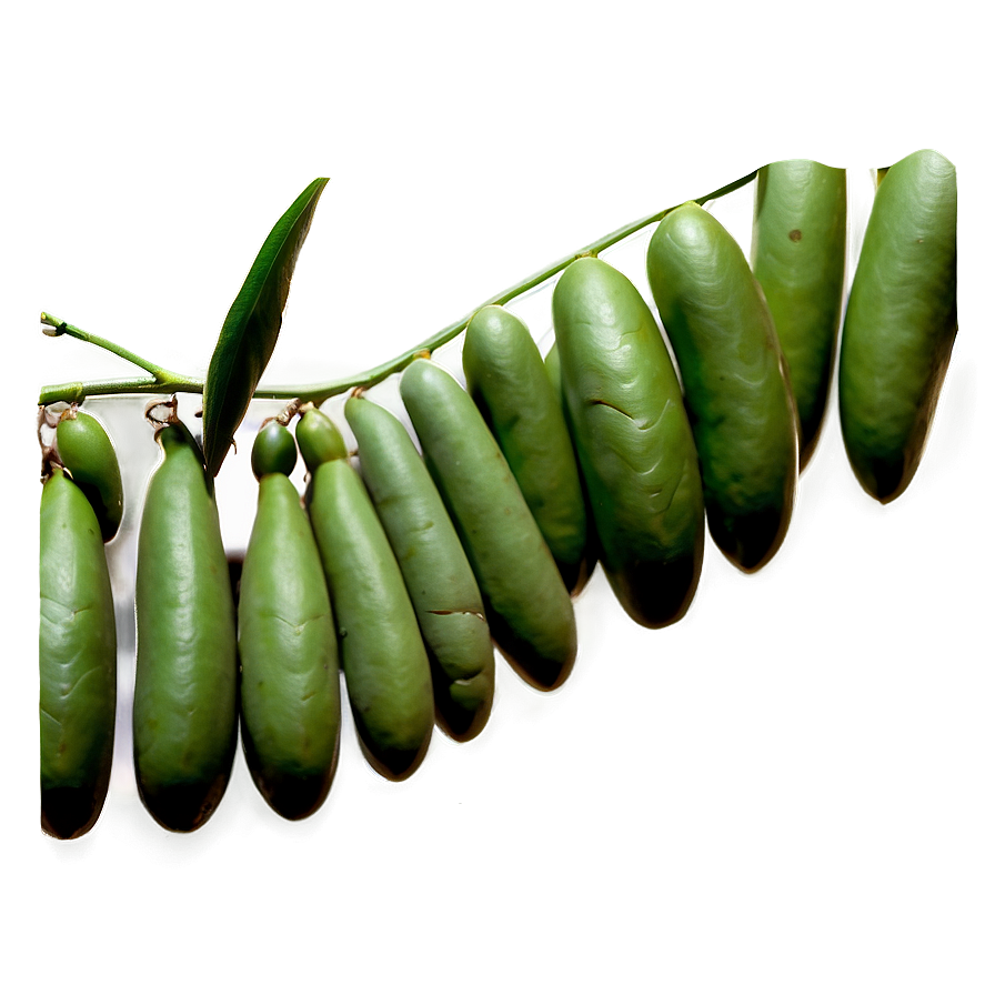 Beans Field Png Wig