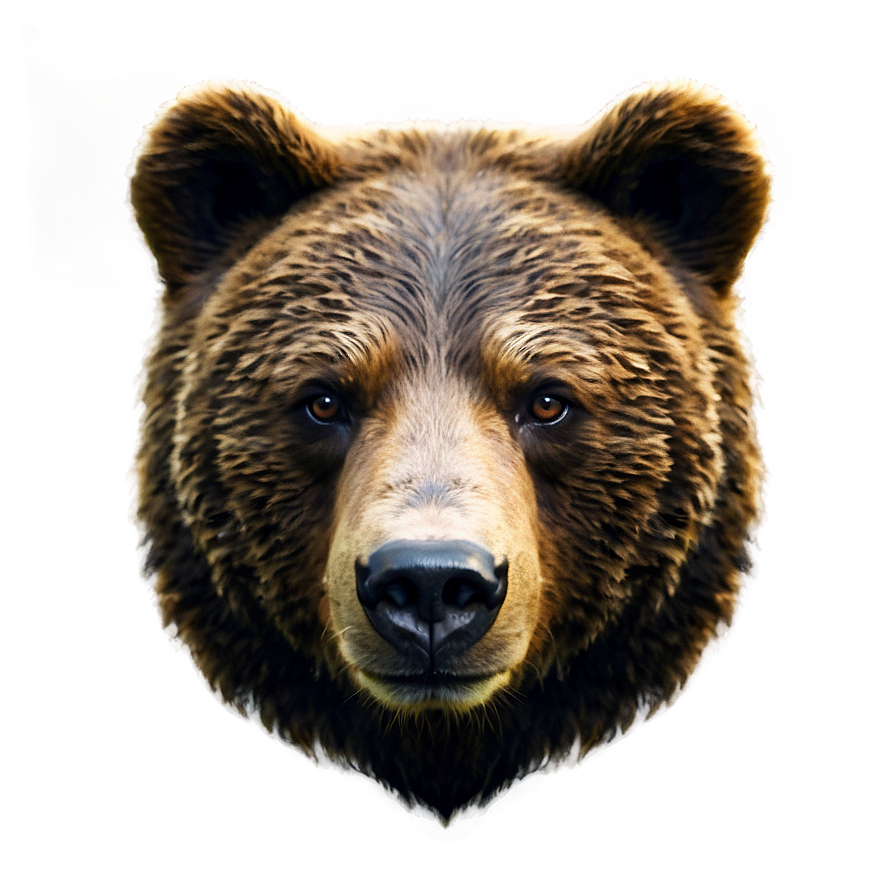 Bear Face Avatar Png 81