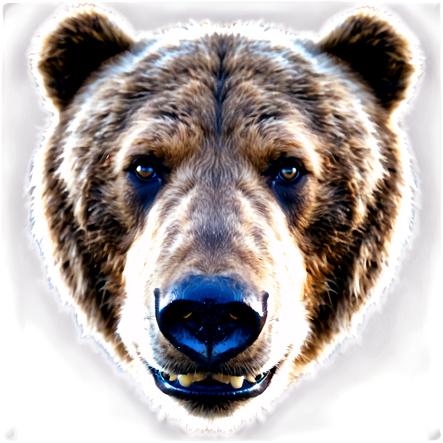 Bear Face Expression Png Yua95