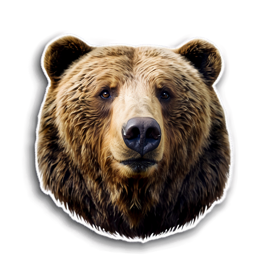 Bear Face Sticker Png 06292024