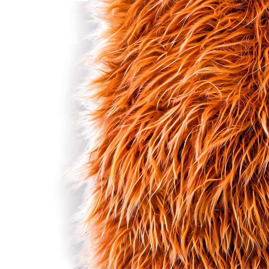 Bear Fur Texture Png 06272024