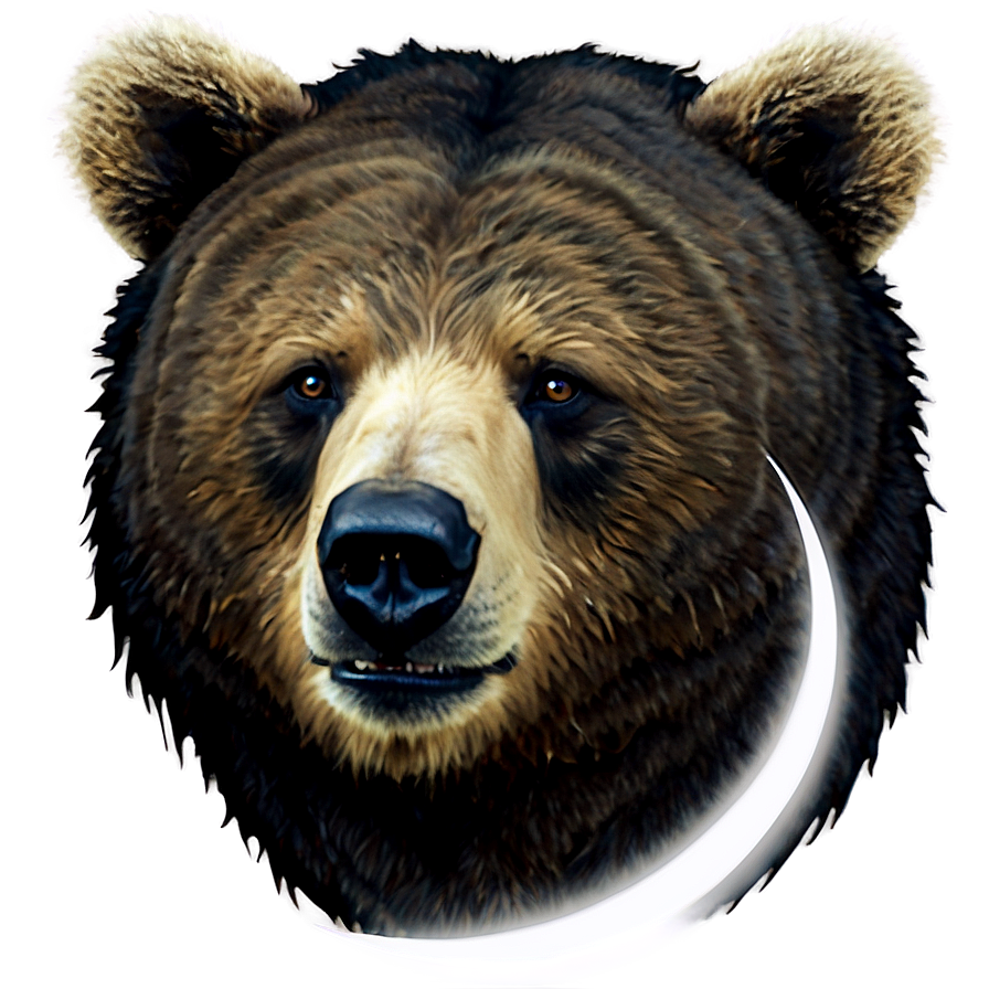 Bear Head And Moon Png Sog