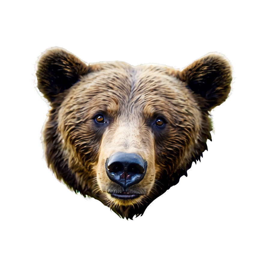 Bear Head In Forest Png Lmk70