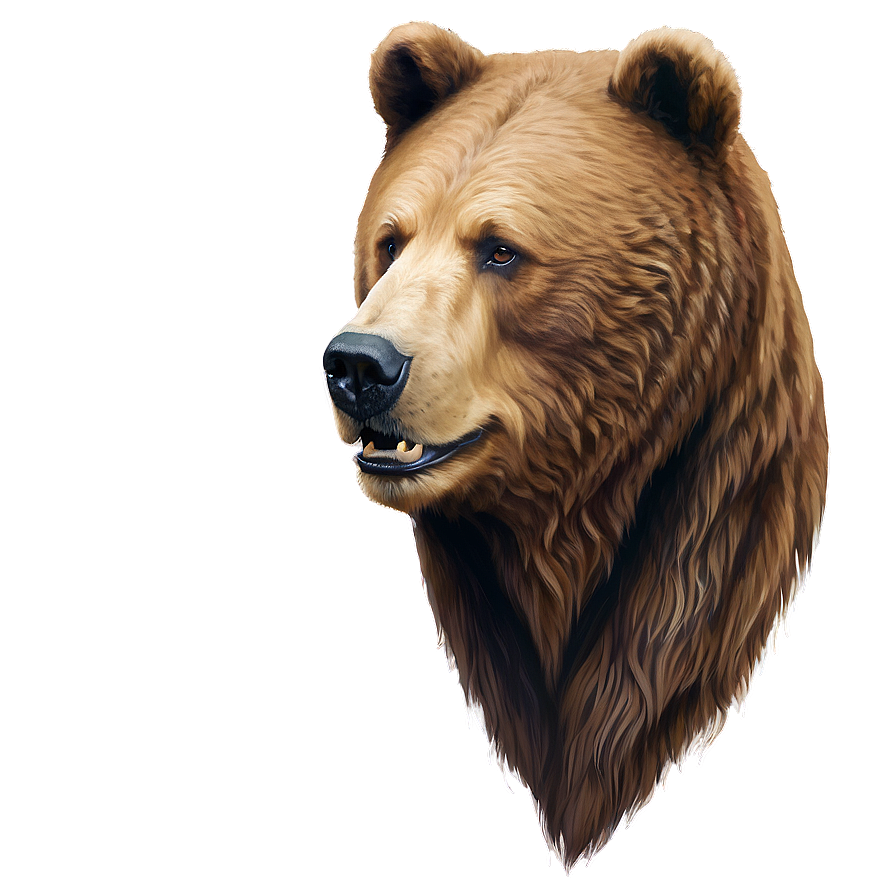 Bear Head Profile Icon Png Wwh12