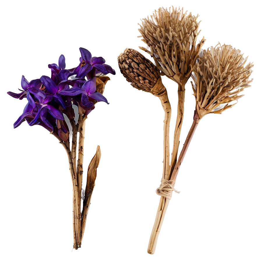 Beautiful Dried Bouquets Png 22