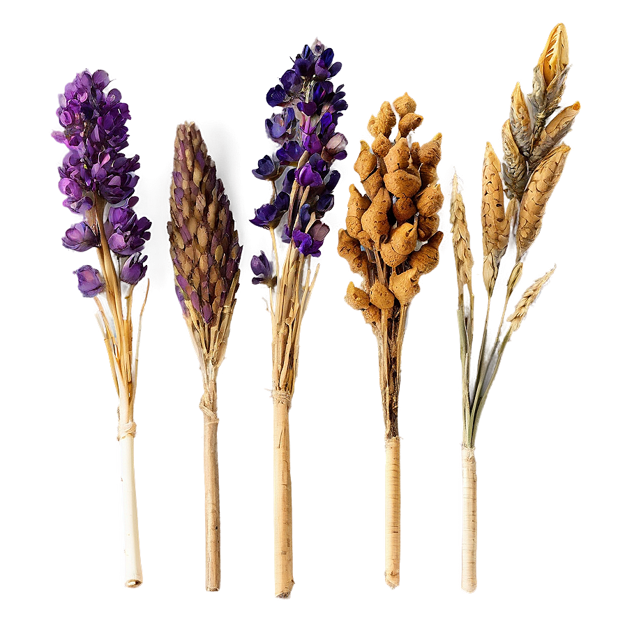 Beautiful Dried Bouquets Png Kgw