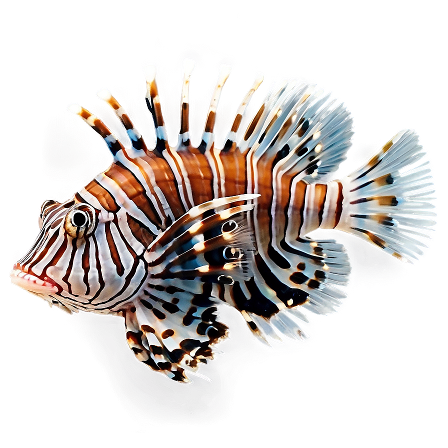 Beautiful Lionfish Png 1