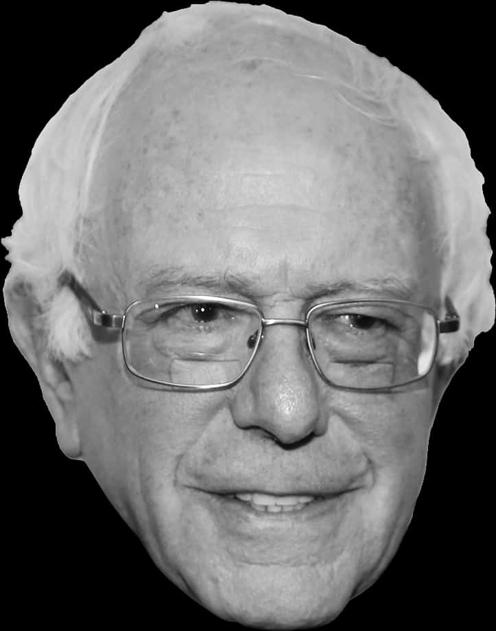 Bernie Sanders Blackand White Portrait