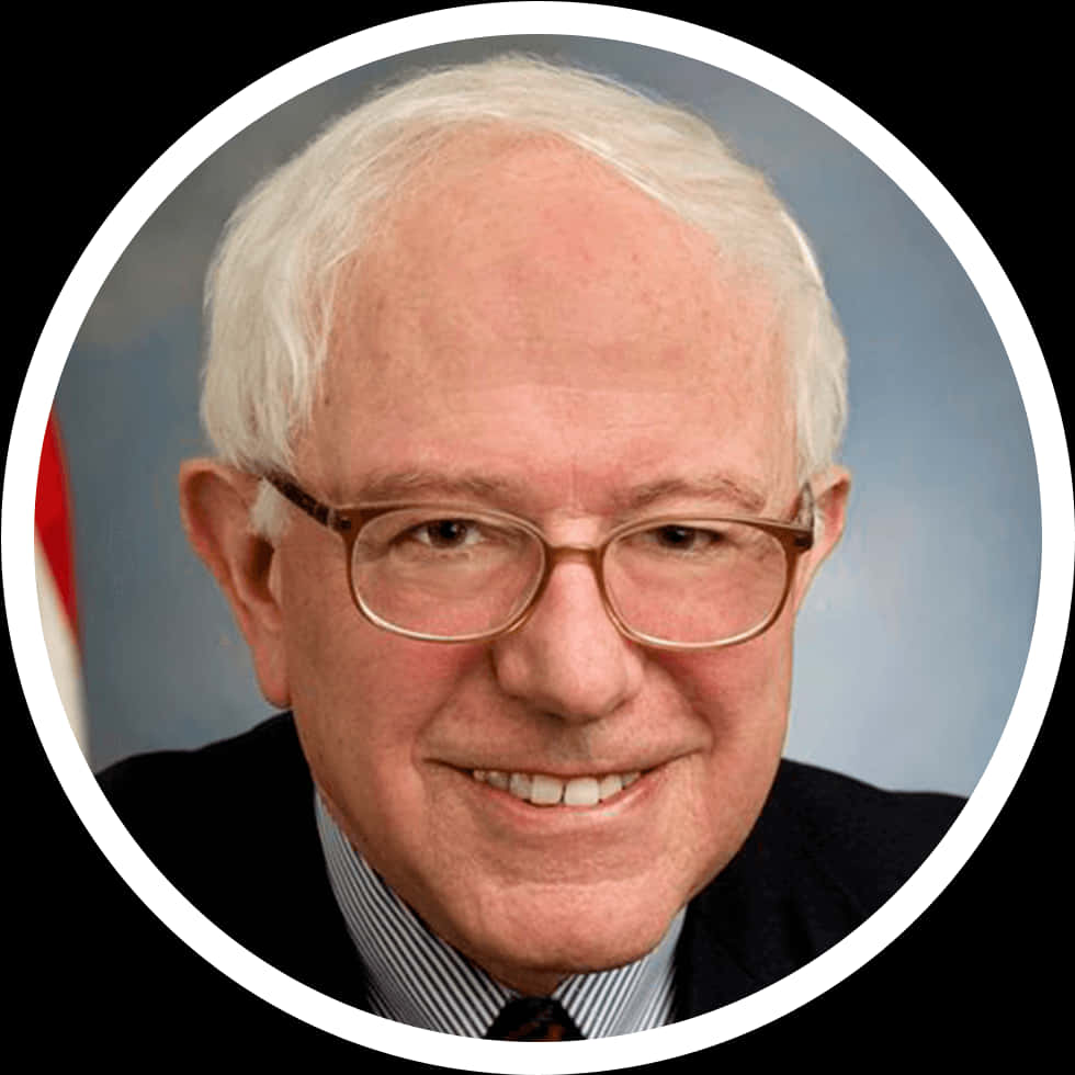 Bernie Sanders Portrait