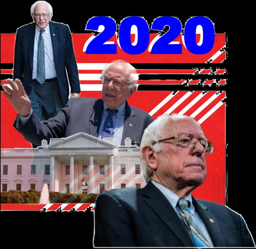 Bernie Sanders2020 Campaign Collage