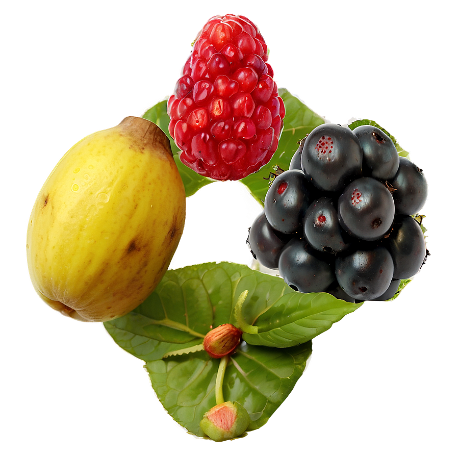 Berry Fruits Variety Png 06252024