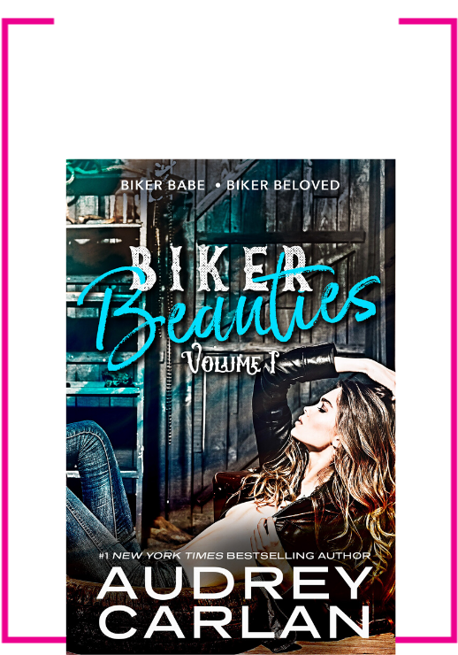 Biker Beauties Volume1 Book Cover