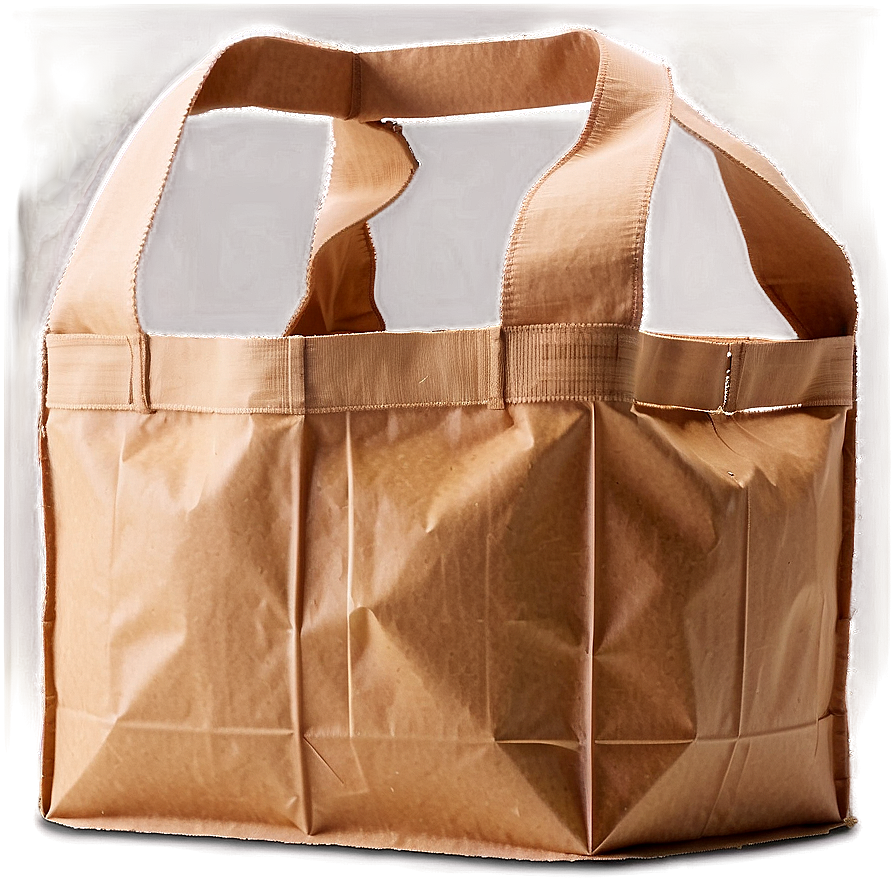 Biodegradable Grocery Bag Png 85