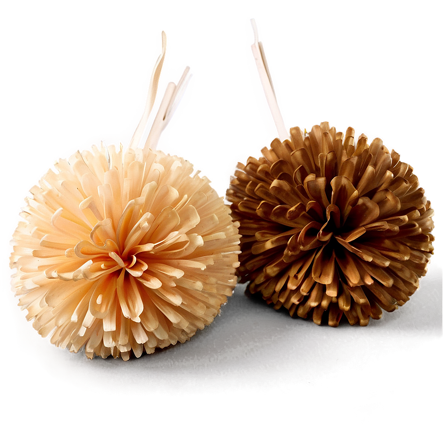 Biodegradable Pom Poms Png 31