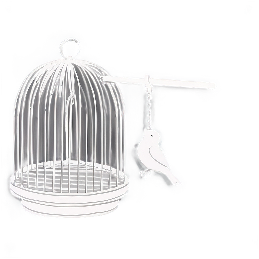 Bird Cage With Swing Png 06122024