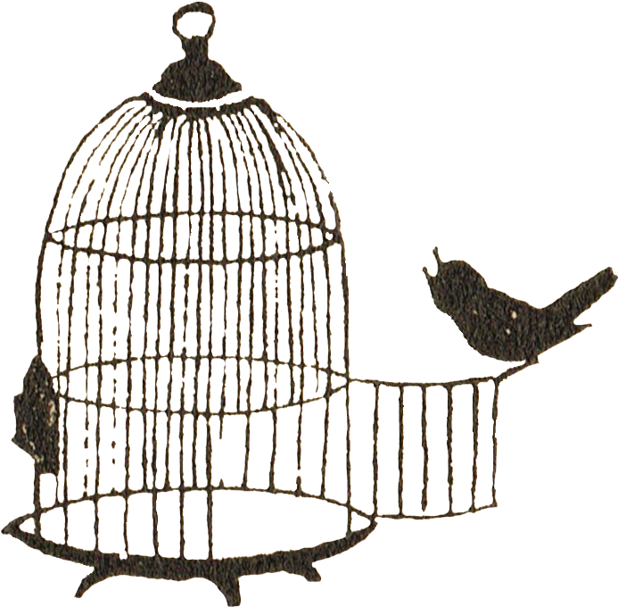 Bird Escaping Cage Illustration