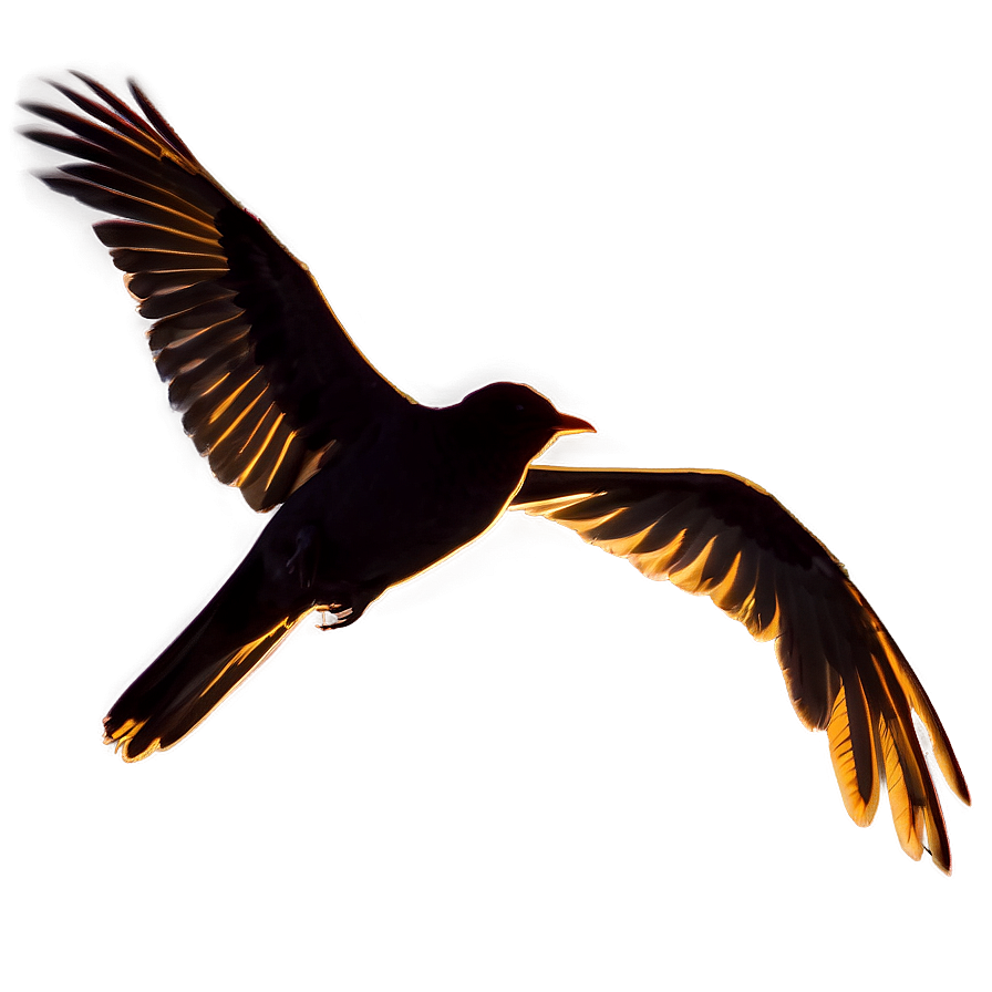 Bird Flying Silhouette Png 06122024