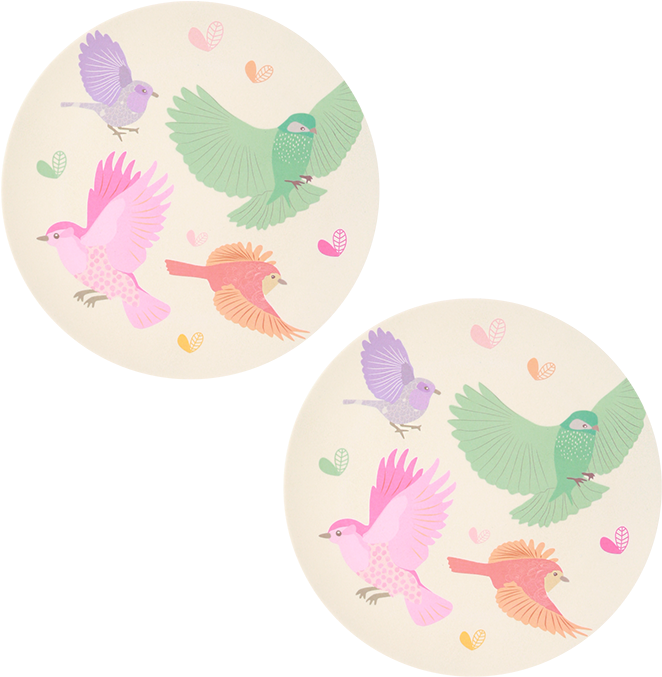 Bird Illustrated Paper Plates