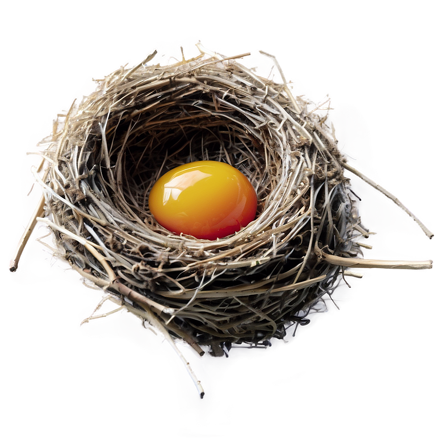 Bird Nest And Sunrise Png Dkj99