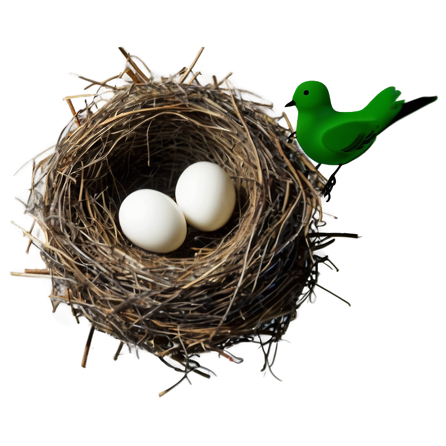 Bird Nest Building Png 79