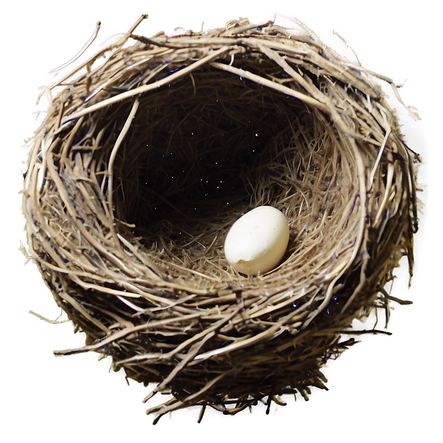 Bird Nest In Barn Png Brk