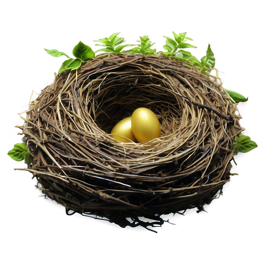 Bird Nest In Garden Png 06212024