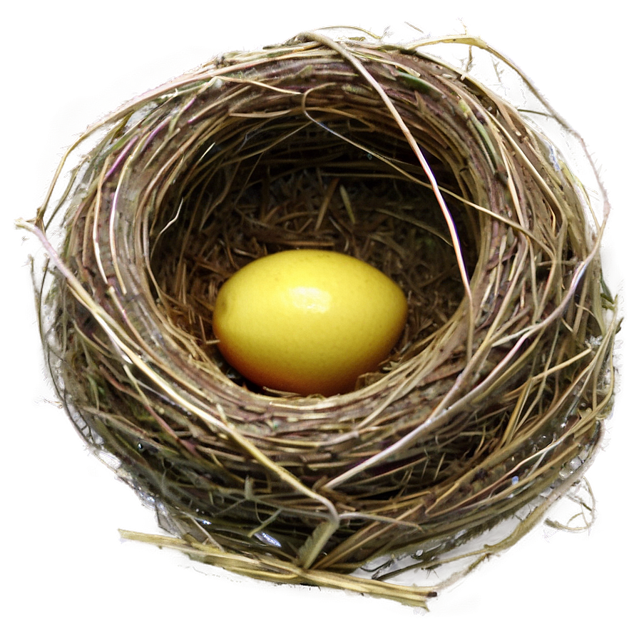 Bird Nest In Nesting Box Png 77