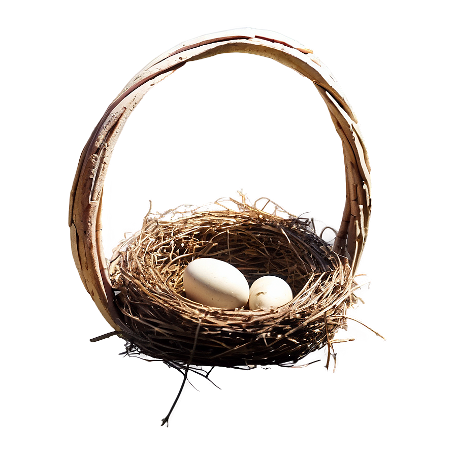 Bird Nest In Summer Png Byy88