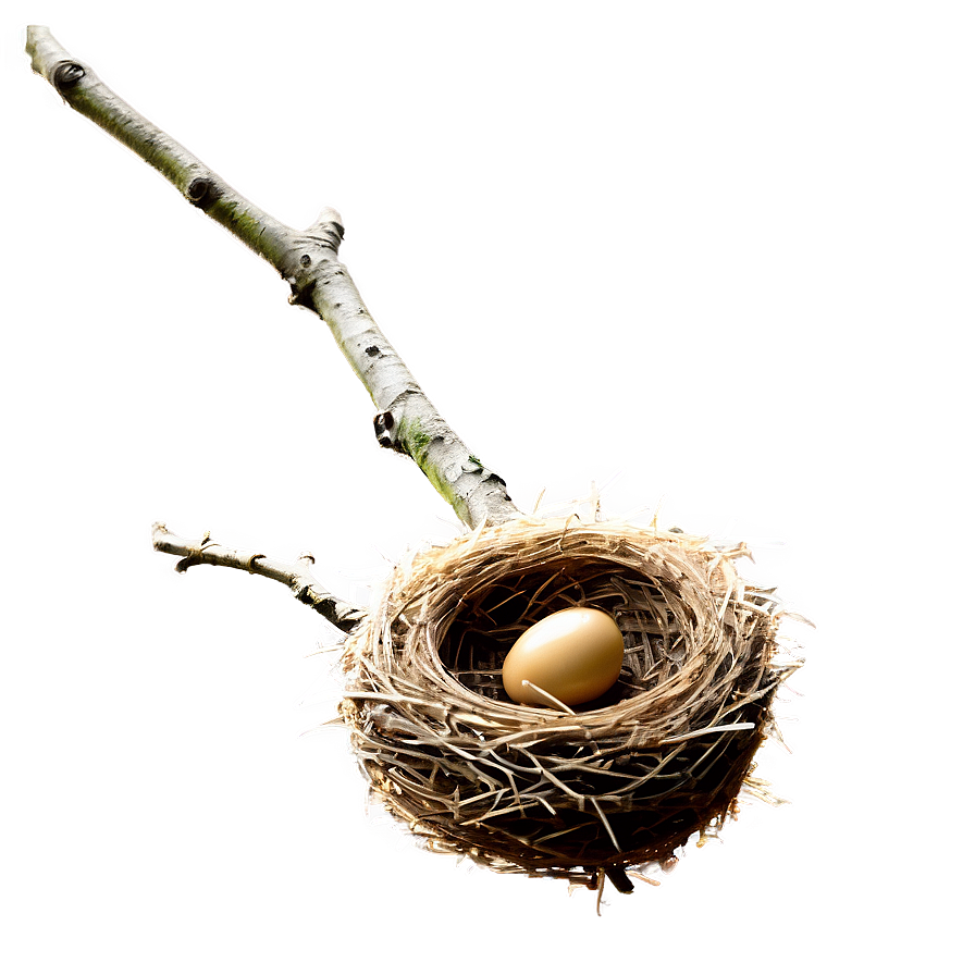 Bird Nest On Branch Png Kqu64