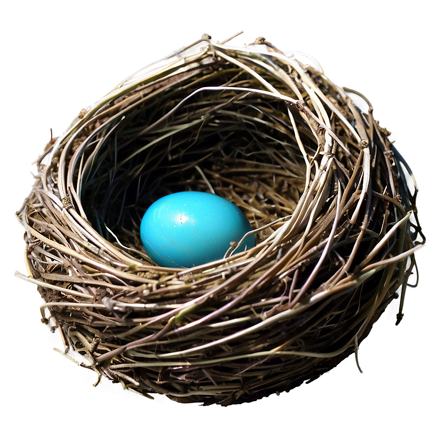 Bird Nest Side View Png Jgc