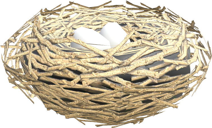 Bird Nest With Eggs3 D Render